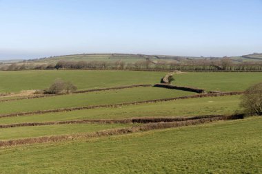 Exmoor Milli Parkı, Kuzey devon, İngiltere, İngiltere'de. Şubat 2019.