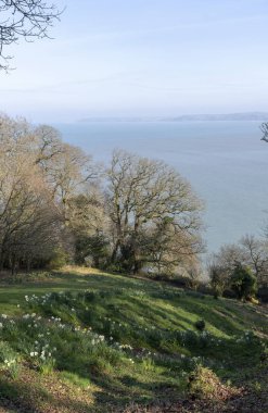 Devon, İngiltere. Kıyı güzel manzara, 