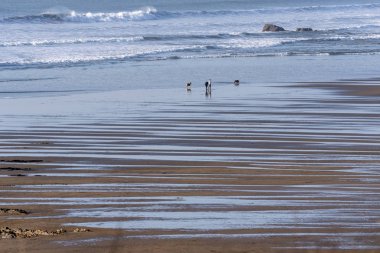 Widemouth Bay, Cornwall, İngiltere, İngiltere'de. Şubat 2019. Widemouth Bay, Bude, Kuzey Cornwall düşük tide denizde bir fon ile yakın.