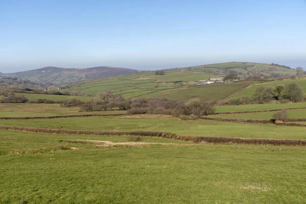 Регіоні Exmoor Національний Парк Північна Девон Англія Великобританія Лютий 2019 — стокове фото