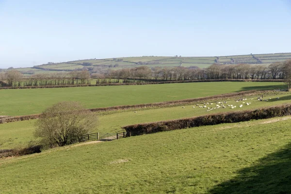 Регіоні Exmoor Національний Парк Північна Девон Англія Великобританія Лютий 2019 — стокове фото