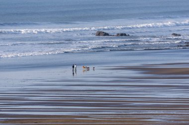 Widemouth Bay, Cornwall, İngiltere, İngiltere'de. Şubat 2019. Widemouth Bay, Bude, Kuzey Cornwall düşük tide denizde bir fon ile yakın.