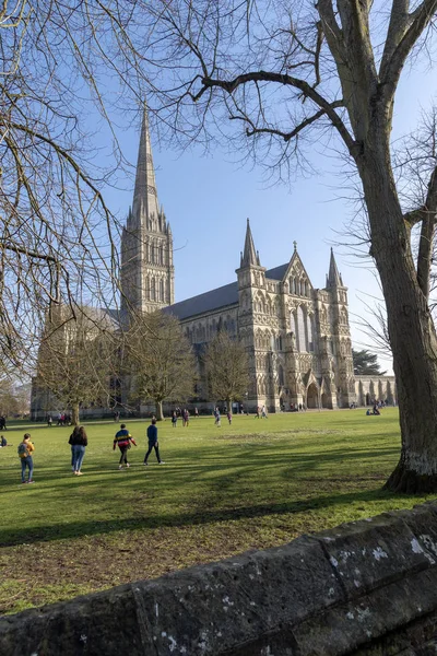 Salisbury Wiltshire England Storbritannien Februari 2019 Salisbury Cathedral Och Grunder — Stockfoto