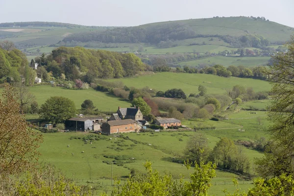沙夫茨伯里 多塞特 英格兰 2019 从沙夫茨伯里穿过开阔的多塞特乡村的乡村景色 — 图库照片