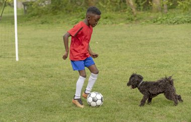 Hampshire, İngiltere, İngiltere. Nisan 2019. Genç bir futbolcu halka açık bir parkta evcil köpeği yle bir traning oturumu sırasında gol savunan.