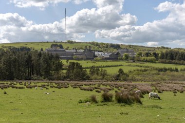 Princetown, Dartmoor, Devon, İngiltere, İngiltere. Mayıs 2019. Hm Prison Dartmoor bir kategori C erkekler cezaevi Dartmoor Milli Parkı granit inşa.