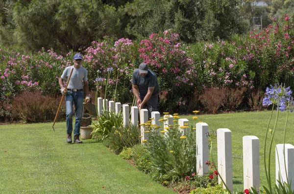 Suda Bay War Cemetery Kreta Grekland Juni 2019 Trädgårdsmästare Underhålla — Stockfoto