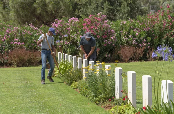 Suda Bay War Cemetery Kreta Grekland Juni 2019 Trädgårdsmästare Underhålla — Stockfoto