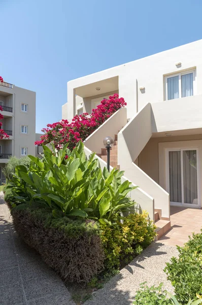 Chania Kreta Grecja 2019 Czerwca Bougainvillea Kwiaty Otaczają Kompleks Hotelowy — Zdjęcie stockowe