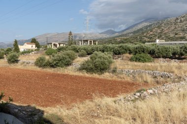 Malia, Girit, Yunanistan. Haziran 2019. Girit, Malia eski şehir kırsal toplumda sürülmüş alan.