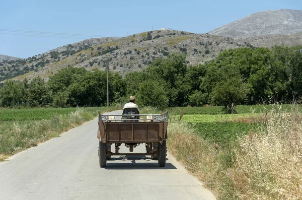 Creta Grecia Iunie 2019 Fermier Care Conduce Tractor Remorcă Platoul — Fotografie, imagine de stoc