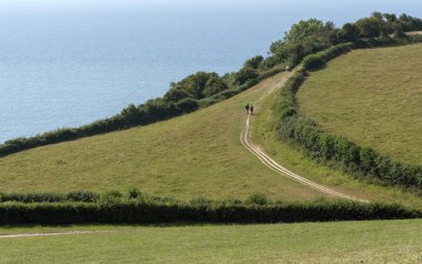 Seaton, Devon, İngiltere, İngiltere. Temmuz 2019. Seaton yakınlarındaki Beer Güney Batı uçurum yolu, Devonshire sahil patika.