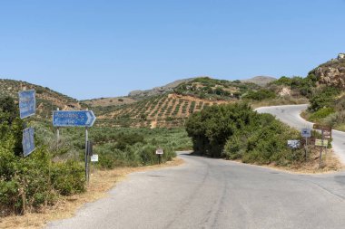 Girit, Yunanistan. Haziran 2019. Kissamos yakınlarındaki Rodopos bir ülke şeritte Zeytinlikler, doğu Girit,