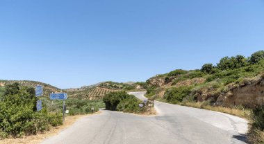 Girit, Yunanistan. Haziran 2019. Zeytin ağaçları Kissamos yakın Girit Rodopos Yarımadası bölgesinde yaz başında yol hattı.