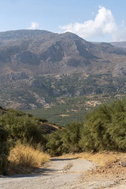 Lithines, Girit, Yunanistan. Eylül 2019. Doğu Girit 'teki Matrigalos yakınlarındaki Lithines' te zeytin çiftliği.. 