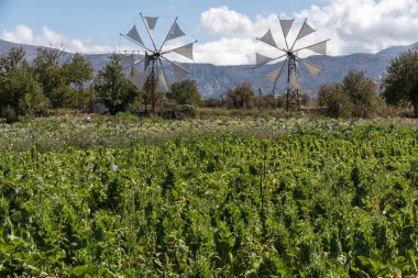 Lasithi Platosu, Doğu Girit, Yunanistan. Eylül 2019. Yel değirmeni sulama için bu manzaralı yerde su pompalıyor. Dağların Dikti aralığıyla çevrili..