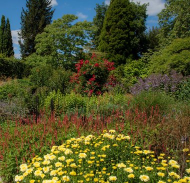 Hampshire, İngiltere, İngiltere. 2020 yılı. İngiliz kır bahçesindeki karışık çiçekli bitkilerin bitkisel sınırı.