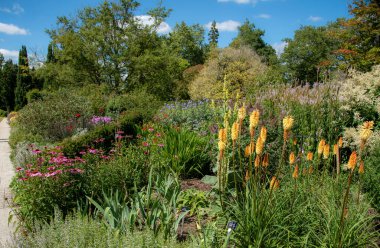 Hampshire, İngiltere, İngiltere. 2020 yılı. İngiliz kır bahçesindeki karışık çiçekli bitkilerin bitkisel sınırı.