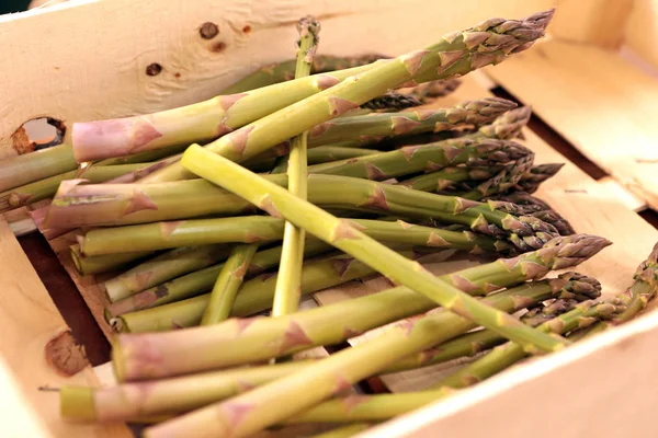 People gather asparagus in the field. Packing of asparagus on an industrial conveyor. A man is holding a green plant. Industrial production of asparagus. Picking young asparagus. Growing juicy asparagus.