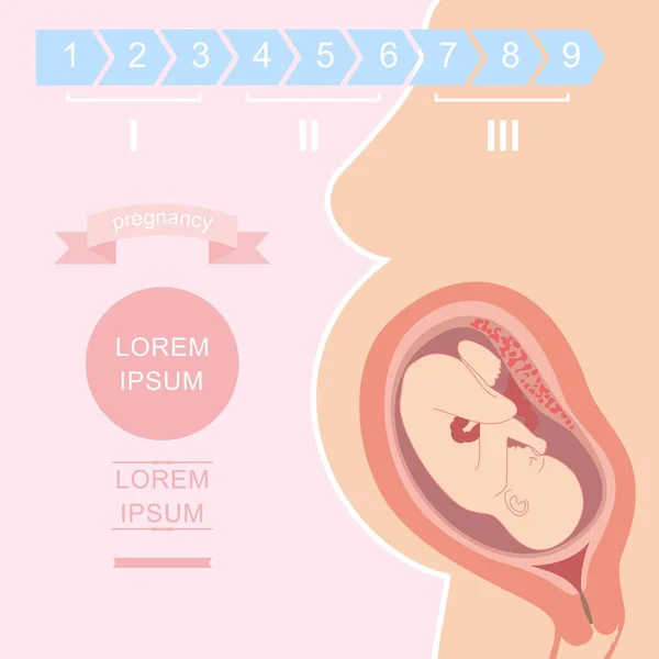Illustration Einer Silhouette Einer Schwangeren Frau Mit Embryo — Stockvektor