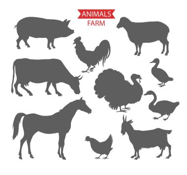 çiftlik hayvanları inek, koyun, keçi, domuz, at kümesi. Ayrıntılı kalite siluetleri tavuk, horoz, kaz, hindi, ördek, dizi.