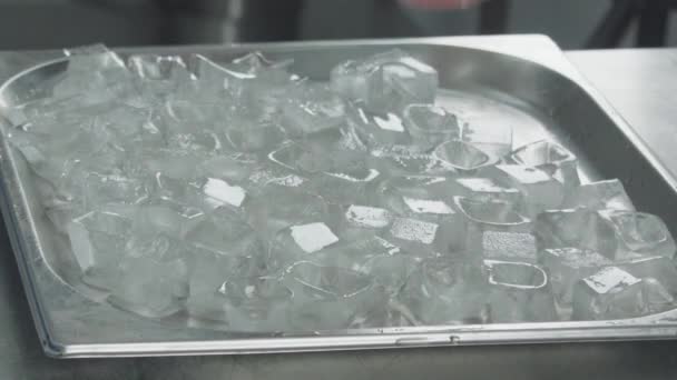 Un trozo de pescado crudo cae sobre cubos de hielo — Vídeos de Stock