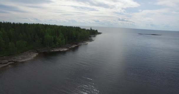 vol supérieur le long de la rive forestière du lac avec eau ondulée 