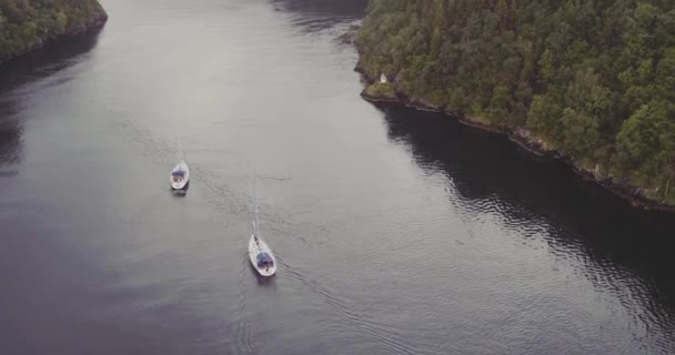 Iates navegar para ponte sobre fiorde bancos montanhosos florestais — Vídeo de Stock