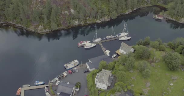 Letecká lesní pobřeží fjordu odráží ve vodě s jachty — Stock video