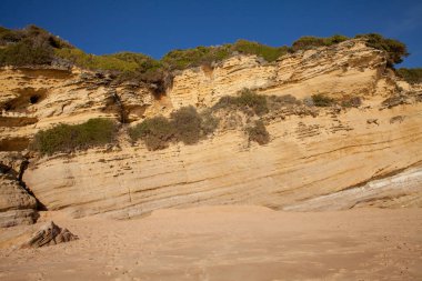 Cliff canos de fırlayan - İspanya, doğal park Barbate