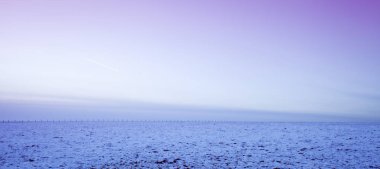 İskoçya - kışın sanatsal pembe ve mor filtreli.