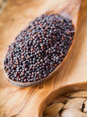 Siyah hardal tohumu - Hint baharat tahta kaşık üzerinde makro.