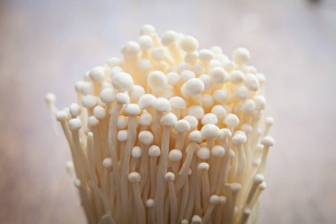 Enoki mantar arka plan duvar kağıdı