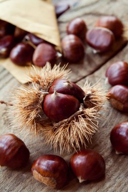 kestane sonbahar arka plan duvar kağıdı