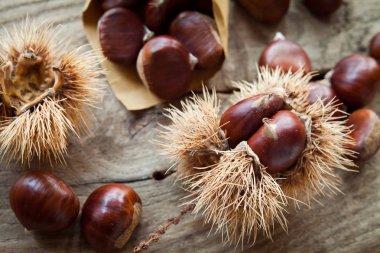 kestane kahverengi arka plan duvar kağıdı