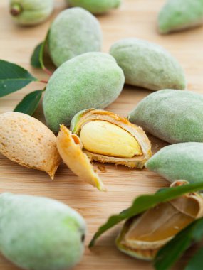 Genç Alond fındık kabukları ahşap zemin üzerine yeşil.