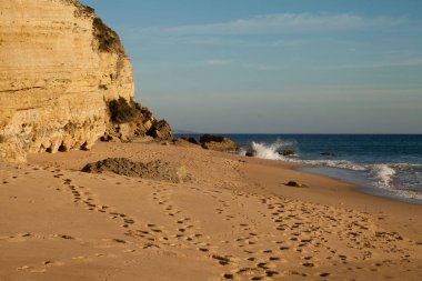 Cliff canos de fırlayan - İspanya, doğal park Barbate