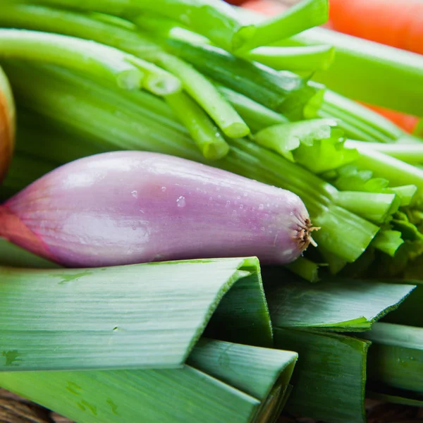 Fresh ingredients for veggie stock : carrots, celery, leeks, onion, carrots, parsnip, parsley, garlic, bay leaves, peppercorns, chili. Spring and summer products, seasonal vegetables to make your soup. The best from Garden market and farm shop.