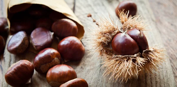 Castagne Sfondo Marrone Carta Parati — Foto Stock