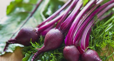 Genç pancar kırmızısı sebzeli pancar yeşili taze yapraklar. 