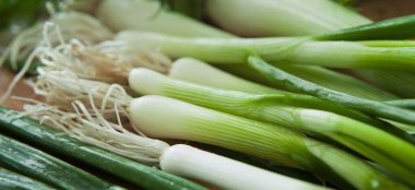 Frenk soğanı ile yeşil bahar soğan - taze soğan. Sağlıklı taze vege