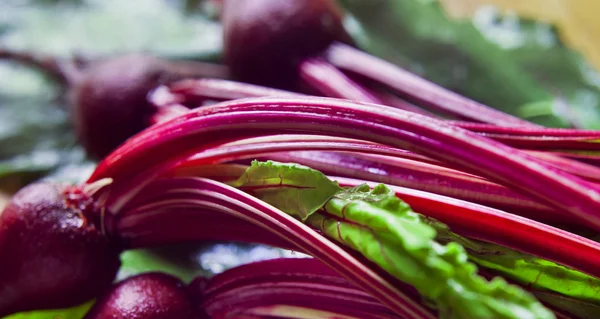 Молодой свекловичный красный овощ с зеленой свеклой - листья для свежих — стоковое фото