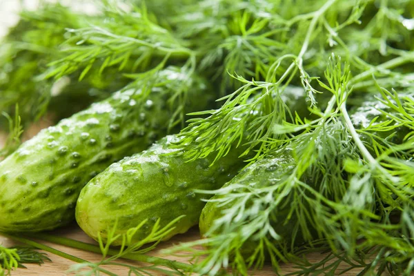 Gurken mit Dillkraut einlegen, frische Zutaten bereit zum Marinieren — Stockfoto