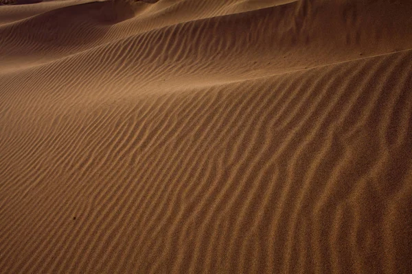 포에르테벤투라 사막화 코페테 지금은 완전히 필드로 타라세 잔디아 — 스톡 사진