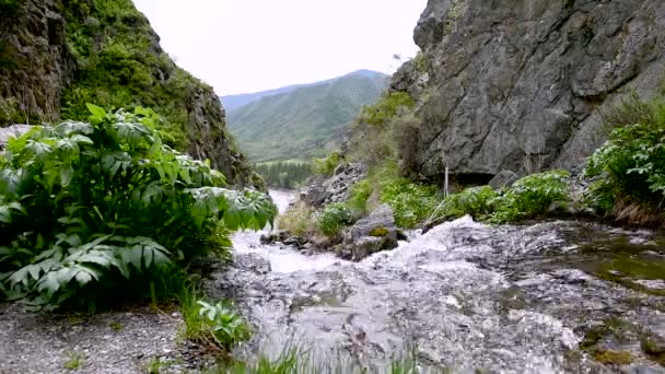 Torrente Montagna Scorre Tra Montagne Una Valle Profonda — Video Stock