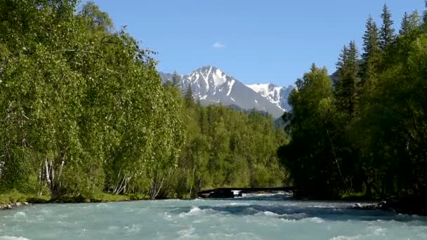 Kucherla 雪山の背景に森林を流れます 夏には 澄んだ空 — ストック動画