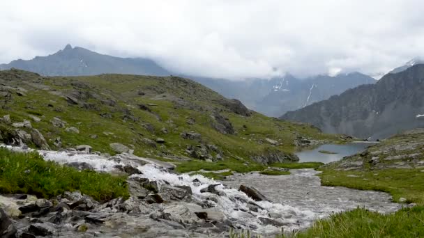 ストリームは 山の高い谷に流れます つの湖 アルタイ ロシアの谷 ベルーハ山の周辺 — ストック動画