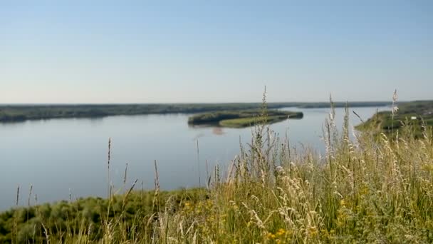 Grass Grows Steep Bank Large River Background Large Siberian River — Stock Video