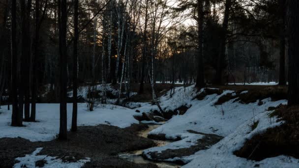 Słońce Wschodzi Wiosennym Lesie Płynie Strumień Wzdłuż Brzegu Leży Śnieg — Wideo stockowe