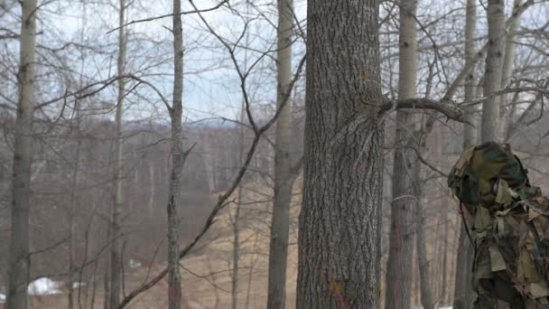 Hunter Gun Sneaks Forest Looks Out Prey — Stock Video
